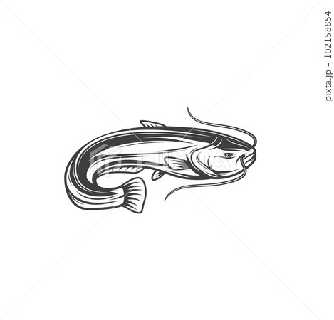 Catfish fishing t-shirt vector print mockup - Stock Illustration [69252819]  - PIXTA