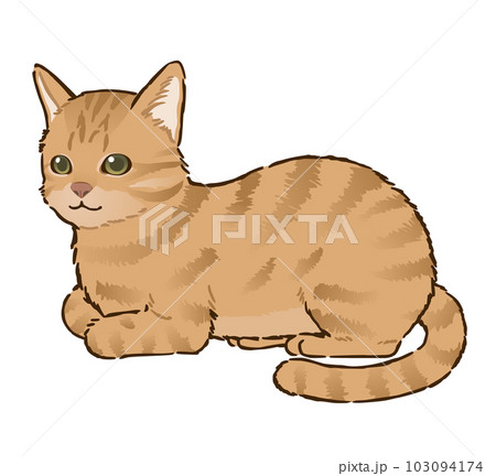 じゃれねこちゃんヘアクリップ 茶とら×向日葵 そりかえっ