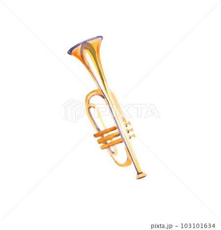 Various gold brass woodwind music instrument isolated on white