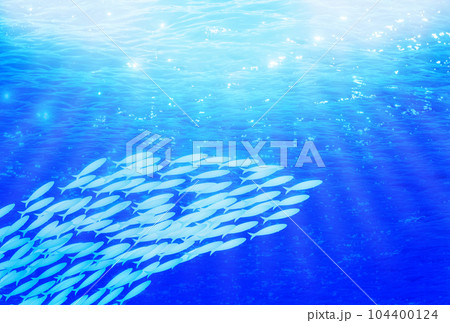 小魚群れ 水色のイラスト素材 - PIXTA