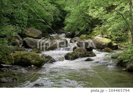 川のある風景 川のある風景（磐井川）｜taka