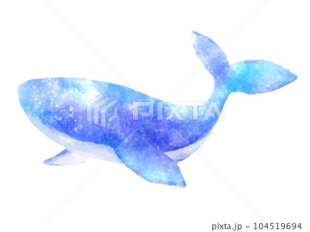 クジラ水彩画のイラスト素材 - PIXTA