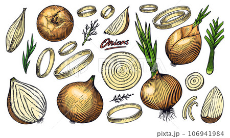 Onions being grated – License Images – 12337962 ❘ StockFood