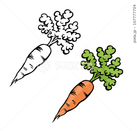 How to Draw a Carrot | FeltMagnet | Carrot drawing, Fruits drawing,  Vegetable drawing