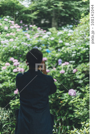 女性 紫陽花 後ろ姿 花の写真素材 - PIXTA