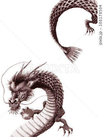 水墨画 龍のイラスト素材 - PIXTA