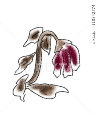 「枯れた花びら」植物イラスト（原画） A drawing of dried rosesのイラスト素材 [63558930] - PIXTA
