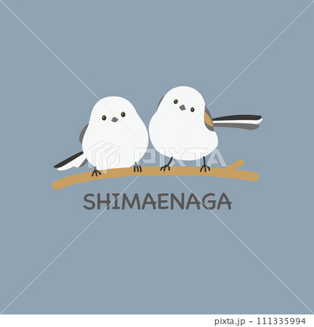 鳥類のイラスト素材 - PIXTA