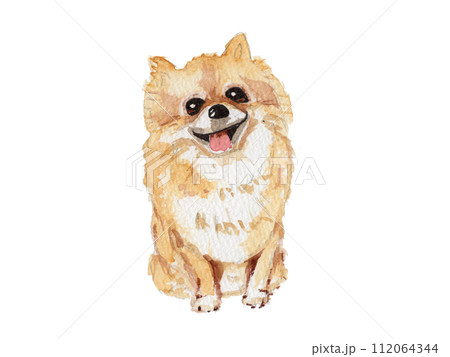 ポメラニアン 犬 動物 水彩のイラスト素材 - PIXTA