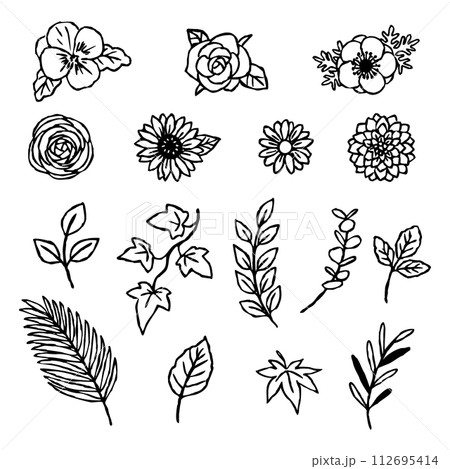 モノクロ 白黒 ラナンキュラス 花のイラスト素材 - PIXTA