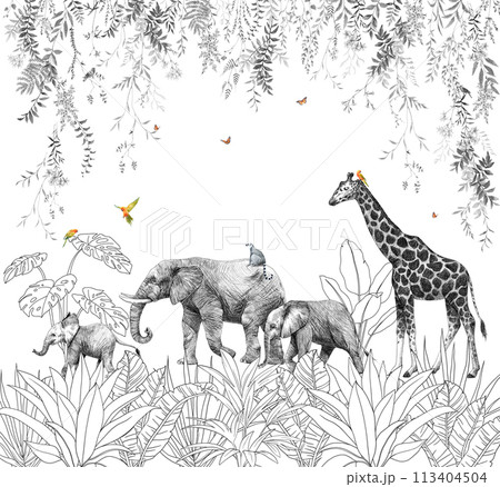 ぞう ゾウ 象 水彩画のイラスト素材 - PIXTA
