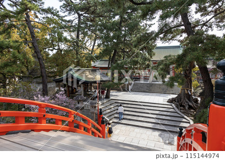 太鼓橋 赤い橋 住吉大社 そり橋の写真素材 - PIXTA