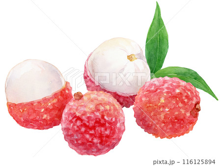 生ライチの写真素材 - PIXTA