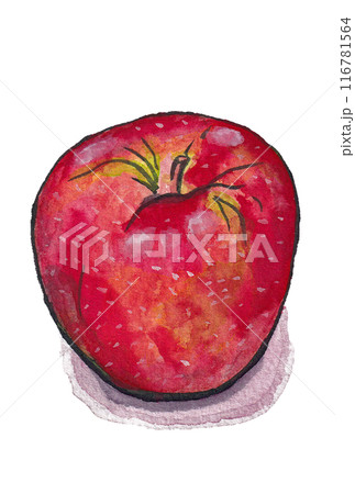 りんご リンゴ 林檎 絵手紙のイラスト素材 - PIXTA