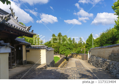 油絵二月堂裏参道の春 油絵二月堂裏参道の春 奈良・東大寺二月堂裏参道の