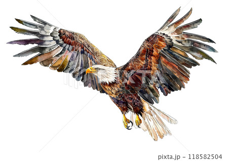 イーグル イヌワシ ゴールデンイーグル ワシの写真素材 - PIXTA