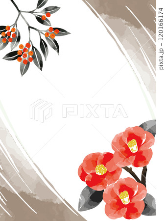 南天 植物 水彩画 水彩のイラスト素材 - PIXTA