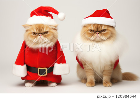 ねこ ネコ 猫 サンタのイラスト素材 - PIXTA ねこ ネコ 猫 サンタのイラスト素材 - PIXTA