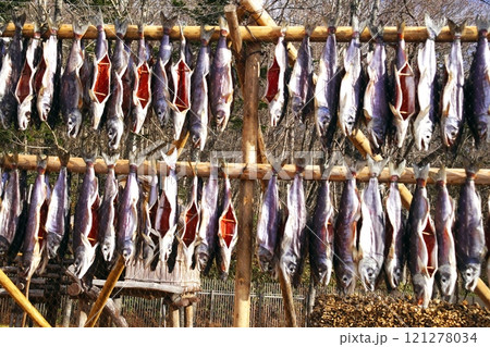 ポロト湖畔に誕生した素晴らしいウポポイ