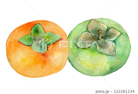 水彩画 果物 緑色フレーム　『秋の陽だまり』 水彩画 果物 緑色フレーム 『秋の陽だまり』