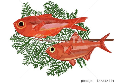 水彩画 『金目鯛』 金の魚」という水彩画を描きました 金の魚とは金魚のこと