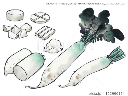 大根 墨絵 野菜 日本画の写真素材 - PIXTA