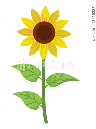  Amuseable Sunflower ひまわり 向日葵 お花 s-l400.jpg