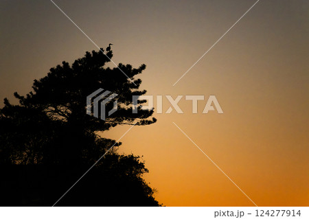 TasogareJ | 夕陽に向かって #漁船 #夕日 #落日 #帰路 #黄昏