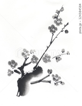 梅の花 墨絵 水墨画 梅の枝のイラスト素材 - PIXTA