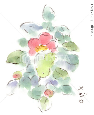 花 目白 メジロ 椿のイラスト素材 - PIXTA