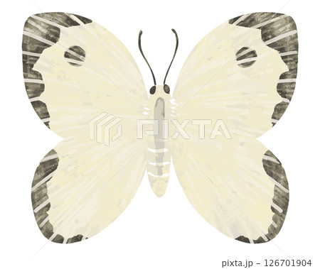 蝶(ちょうちょ)のベクター素材(27,946点以上の高品質なベクター素材