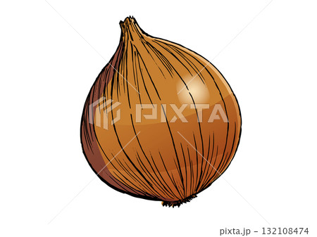 たまねぎ似顔絵 リアルなたまねぎのイラスト - いらすと本舗