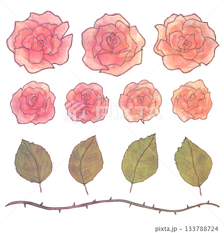 バラ(薔薇)のイラスト素材(129,792点以上の高品質なイラスト素材