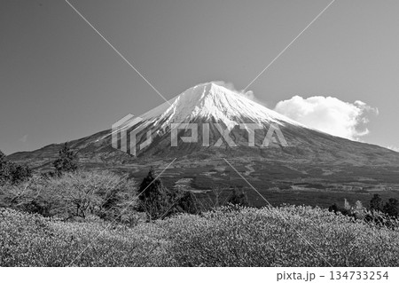 白黒 富士山 モノクロ 山の写真素材 - PIXTA