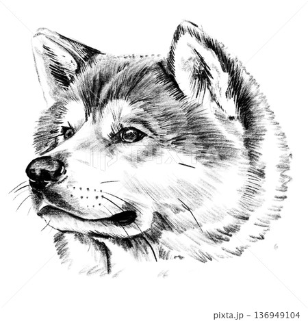 犬鉛筆画 値下げしました オリジナルのペットの鉛筆画 犬 鉛筆画 動物