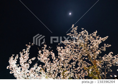 桜 夜桜 月の写真素材 - PIXTA