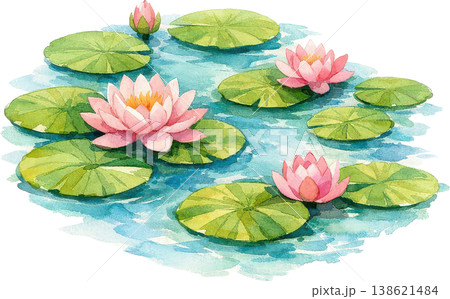 水辺の花 夏の草花の写真素材 - PIXTA