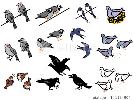 カラス 鳥 群れ 野鳥のイラスト素材 - PIXTA