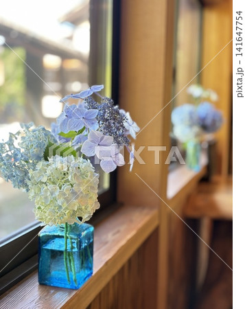 紫陽花 花 室内 花瓶の写真素材 - PIXTA